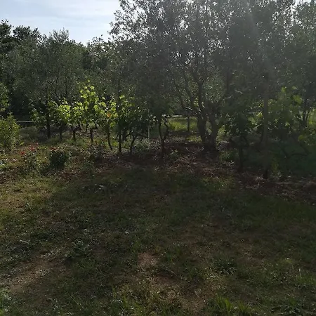 With A Parking Space Poljica, Zadar - 13289 شقة فرسي