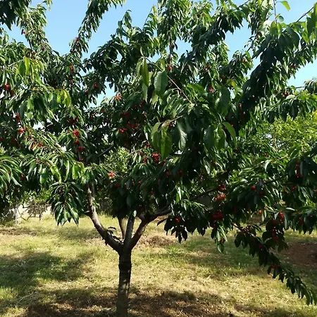 With A Parking Space Poljica, Zadar - 13289